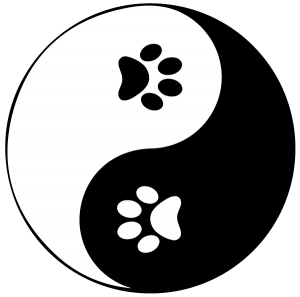 ann arbor holistic veterinarian